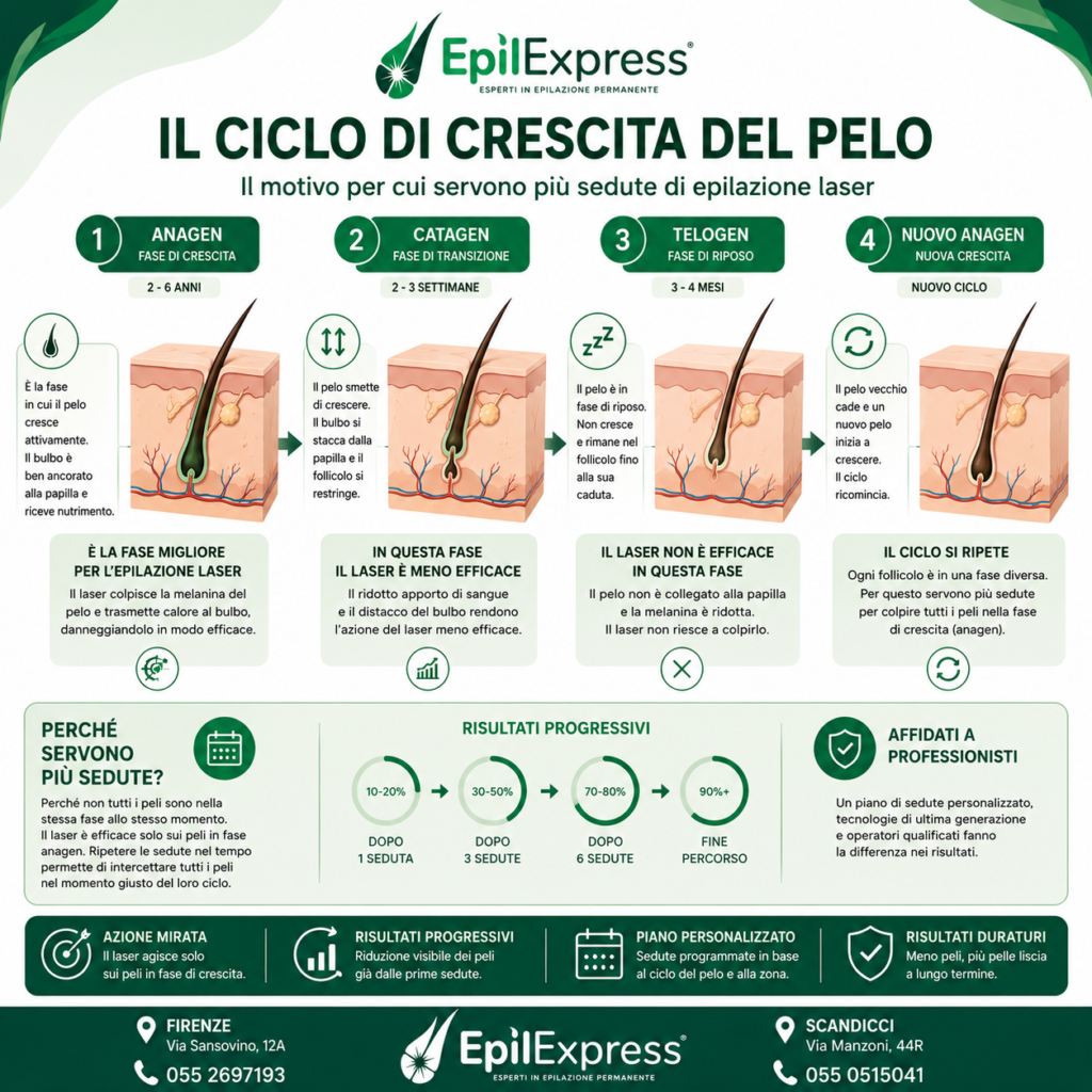 Infografica del ciclo di crescita del pelo utilizzata nell'epilazione laser. Le fasi Anagen, Catagen e Telogen spiegano perché sono necessarie più sedute per ottenere risultati progressivi e una riduzione permanente dei peli.